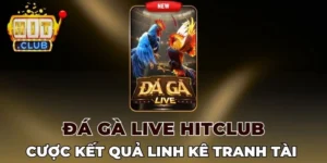 Đá gà live Hitclub sở hữu nhiều nhận xét tốt