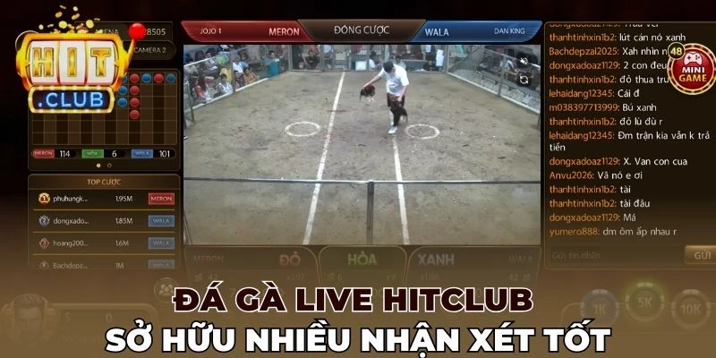 Đá gà live Hitclub sở hữu nhiều nhận xét tốt